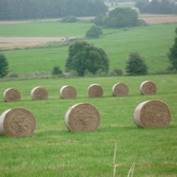 Heuballen
