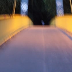 Volkspark Wilmersdorf