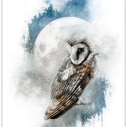 Illustration für Buchcover