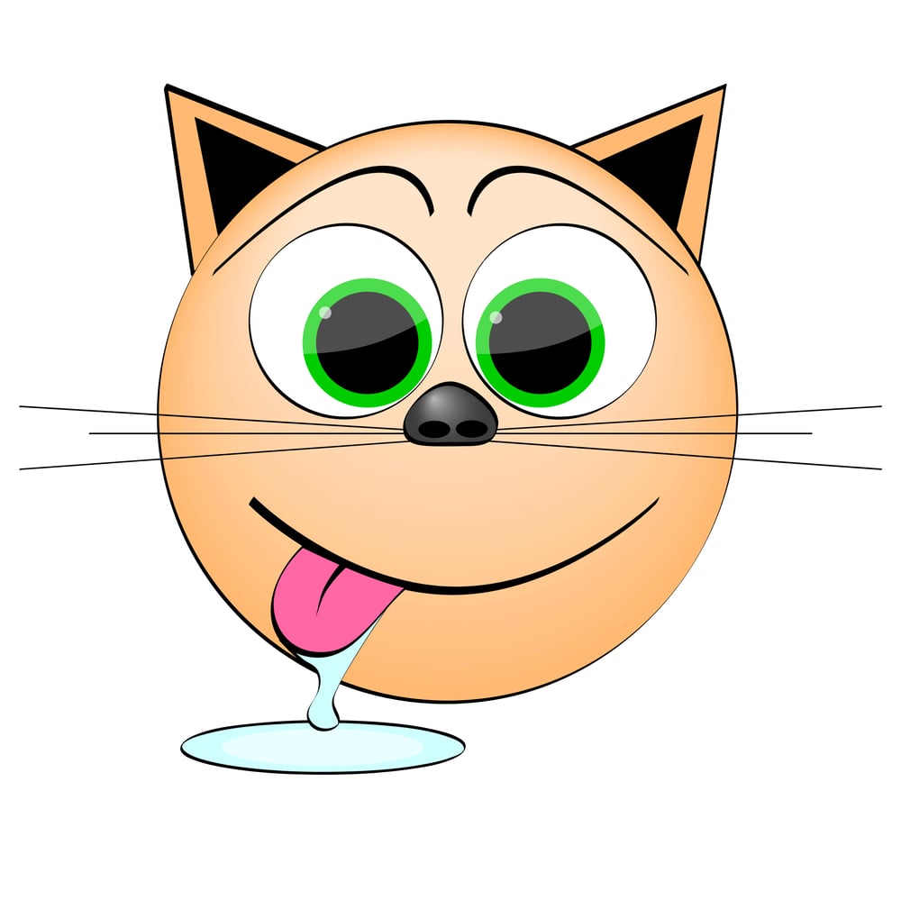 cat hungry