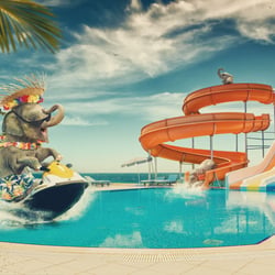 Elefanten Pool Party