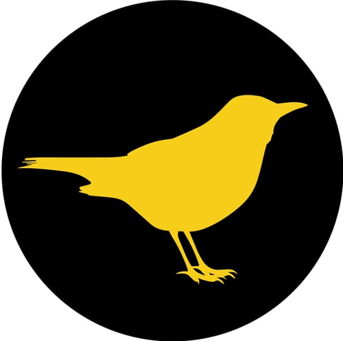 Goldamsel Film GmbH