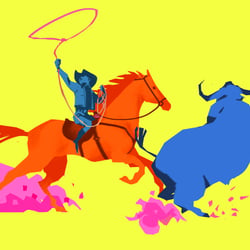 Rodeo