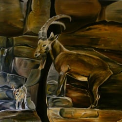 Steinböcke, 100 × 100 cm