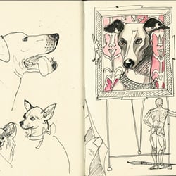 dogs