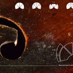 A symphony | CI Entwicklung
