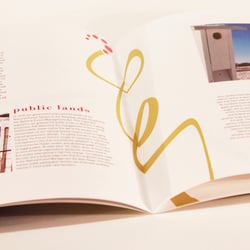 Annual Report: Eco Justice International