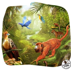 Jungle 2—Serie GPS Ciencias Naturales (Editorial Grupo Macmillan – Argentina 2013)