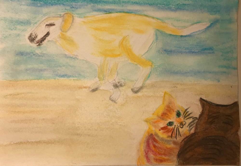 Luela and cats