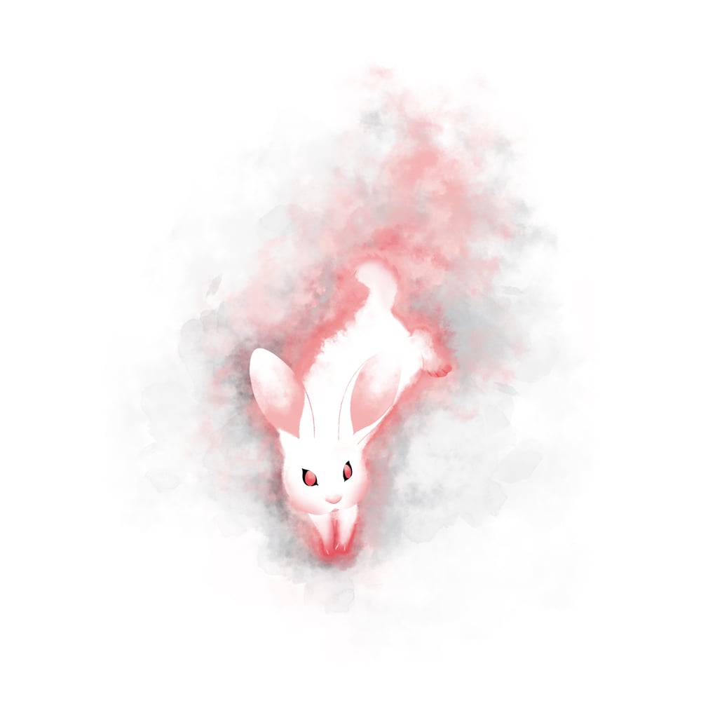 Hase