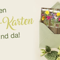 Teaser Alster-Karten