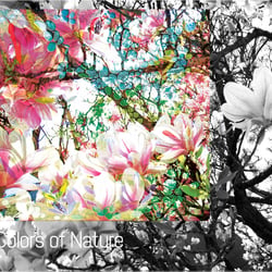 colors of nature