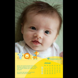 Pampers (Procter & Gamble): Baby-Kalender Text