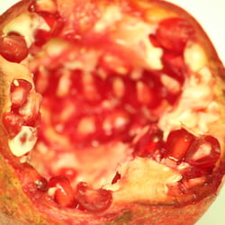 Granatapfel November 2012