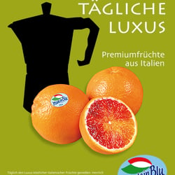 Entwurf Anzeigenlayout