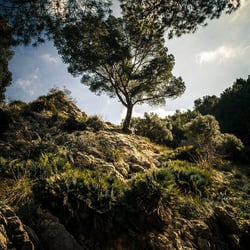 Mallorca