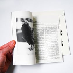 Ausstellungskatalog und Essayheft