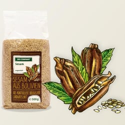 Verena-Faeth Bio-Company Illustration Sesam