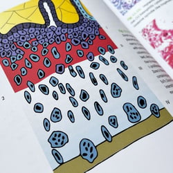 Medizinische Illustrationen