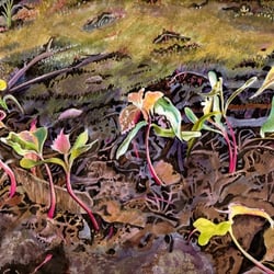 Background Art – Copics