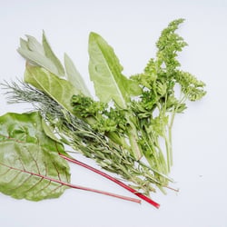 28 salatfotos website