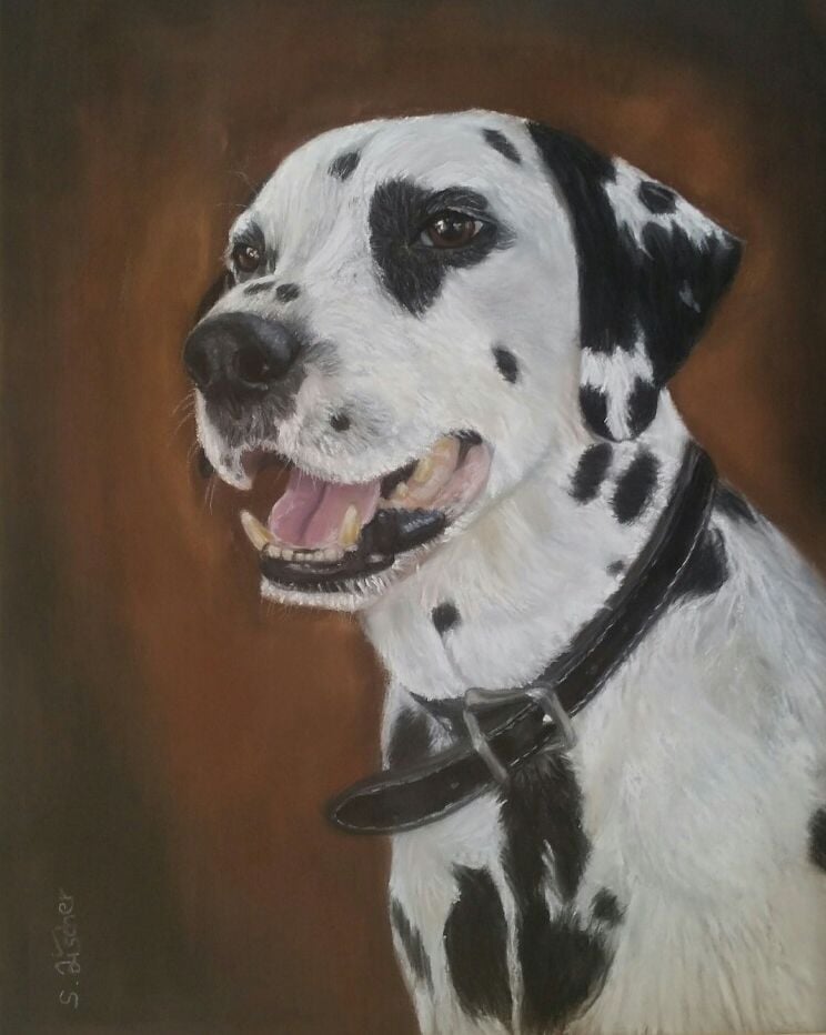 Tierportrait in Pastell