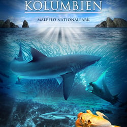 FILMCOVER – Artwork & Typo Gestaltung