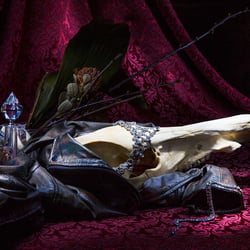 Vanitas