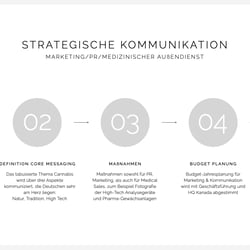 Portfolio Strategic Marketing und Konzeption