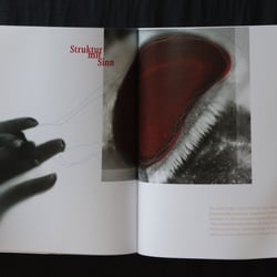 „oberflächlich“ – 20-seitiges Buch zum Thema Oberflächen S.11-12