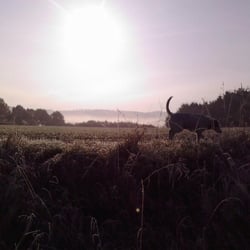 Fotografie – Sonnenaufgang