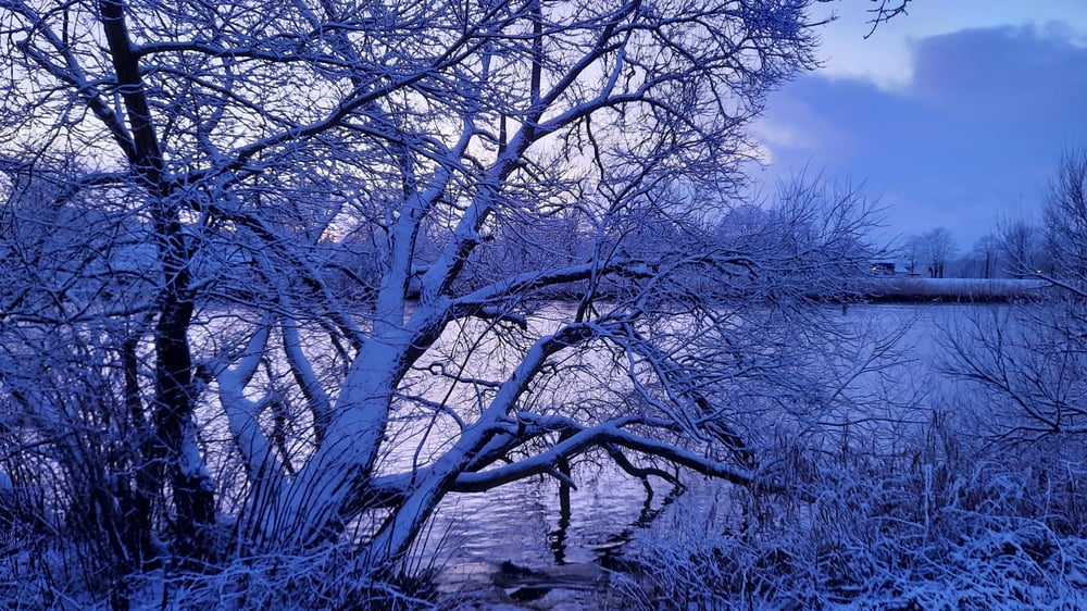 Winter in Bremen