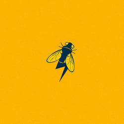 Flashbug