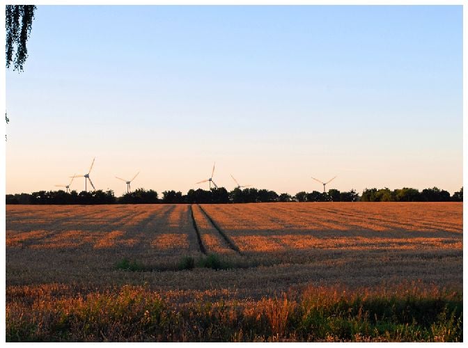 Sommerabend 1
