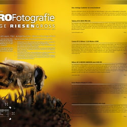 DLM 01/09: Makrofotografie-Aufmacher
