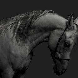 Pferd