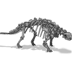 „Euoplocephalus“