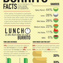 Burrito Infographic