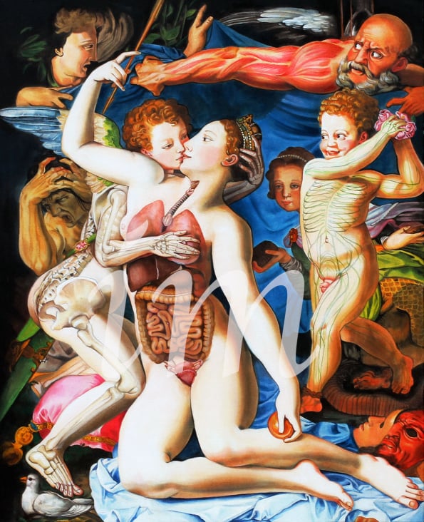 Allegorie mit Venus und Amor (Bronzino), Erneuerung der anatomischen Lehre nach Andreas Vesalius
