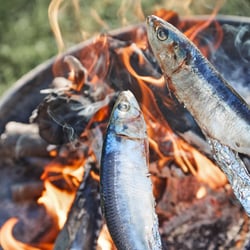 Marius Prions Photo FOOD / Fisch, über Feuer, Outdoor, Grill, Flammen