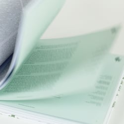 Geschichtliche Einschübe