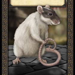 karte 45×68 zahme ratte front