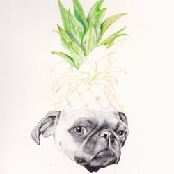 process2 piña colada