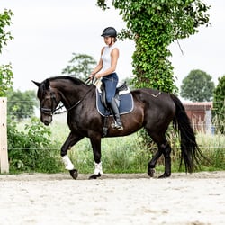 Trainingsbegleitung
