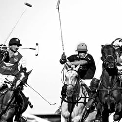 POLO_006
