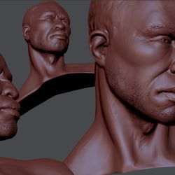 digital Sculpts
