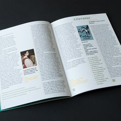 Literatur Sektor