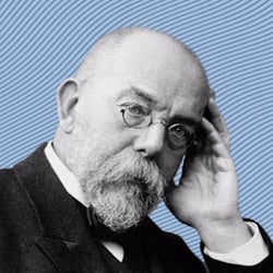100 Jahre Charité