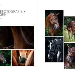 Graphic + Photodesign Portfolio