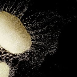 Foodfotografie – Portraithaus Worms